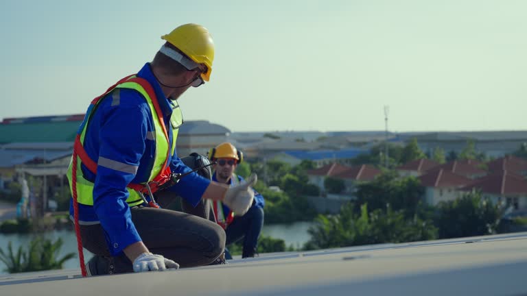 Professional Roofing Services in Lisle, IL
